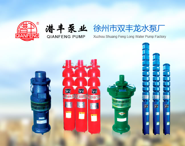 徐州市雙豐龍水泵廠專業供應噴...