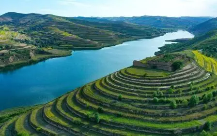 重點行業(yè)VOCs治理“一企一策”！寧夏空氣質(zhì)量持續(xù)改善行動實施方案公開征求意見