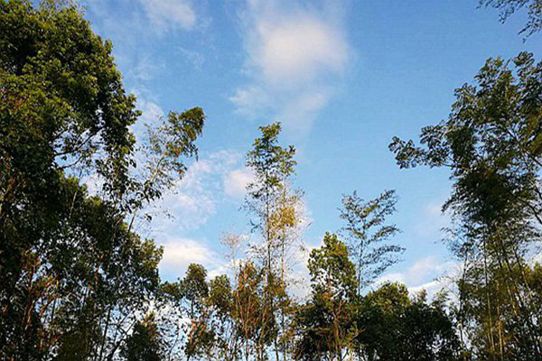 包河區(qū)生態(tài)環(huán)境分局：藍(lán)天不是等出來的，是干出來的