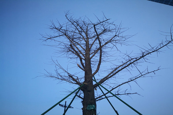 提“氣”質(zhì)丨打造2.0版本，實(shí)現(xiàn)“大數(shù)據(jù)”精準(zhǔn)治污