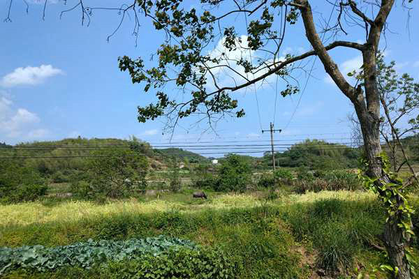 京津冀及周邊地區(qū)出現(xiàn)中至重度污染，多地啟動(dòng)預(yù)警積極應(yīng)對(duì)