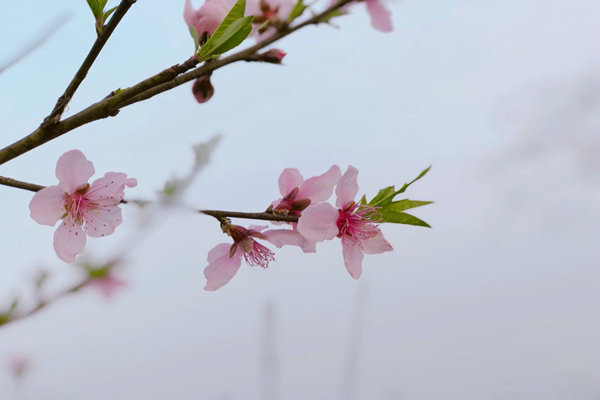 助企精準(zhǔn)治污降本增效，蘇州首個(gè)“炭管家”智慧平臺(tái)全面推廣